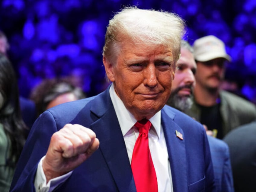 NEW YORK, NEW YORK - NOVEMBER 16: President-elect Donald Trump looks on during the UFC 309