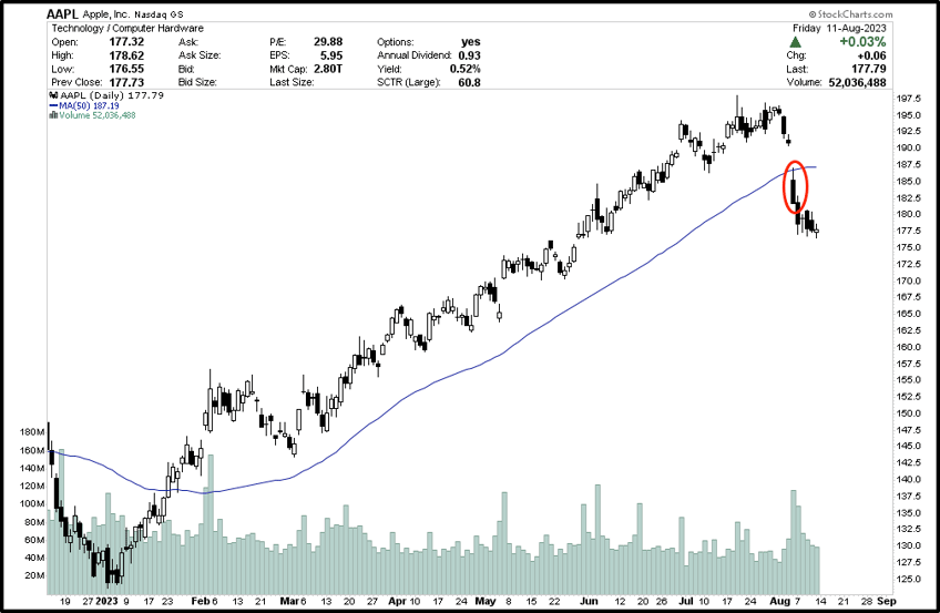 price action is what really matters fundamentals are just a narrative