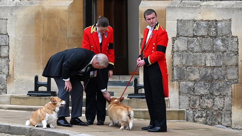 Prince Andrew wears a suit and tie as he bends down to pet the corgis being watched by two members of the Royal Household