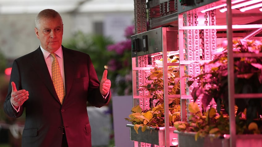 Prince Andrew looking at potted plants being lit.