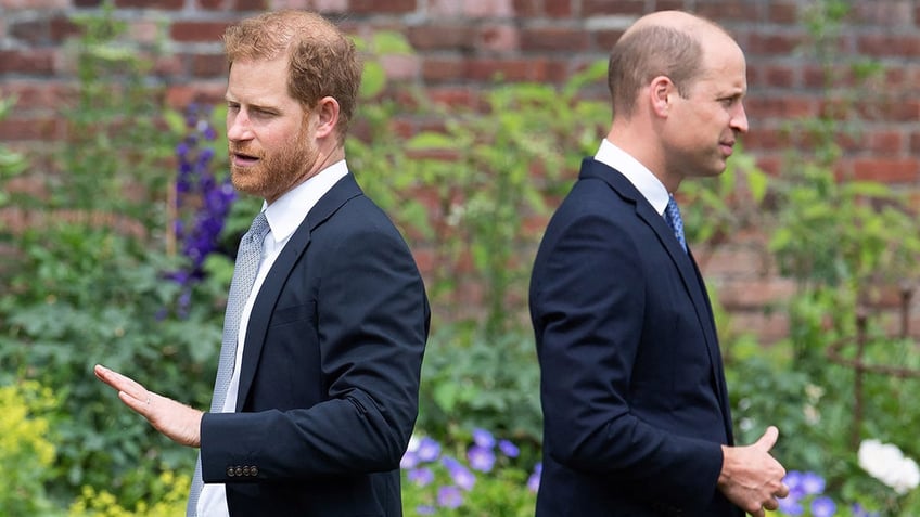 Prince William and Prince Harry have their backs turned as they walk away from each other in a garden