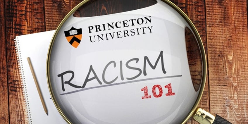 princeton anti capitalist class teaching black people should be considered handicapped due to systemic racism