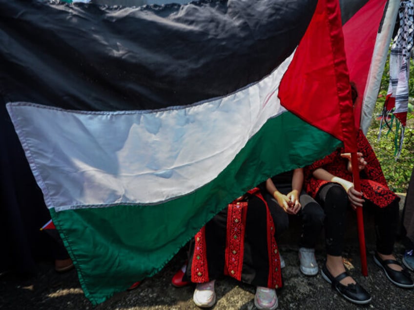 pro hamas demonstrators shut down california democratic convention