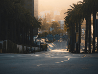 Pro-Migration Groups Complain About Empty Streets Due to ICE Enforcement