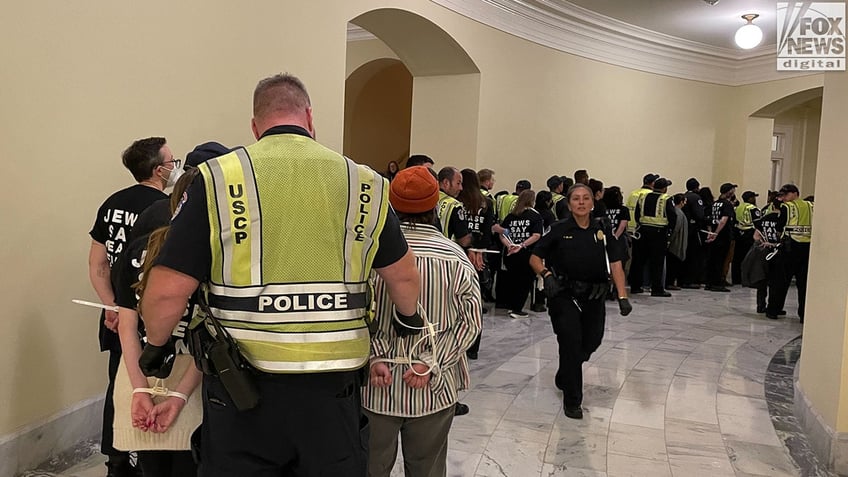 pro palestine demonstrators swarm inside capitol hill demand ceasefire as police begin arresting protesters