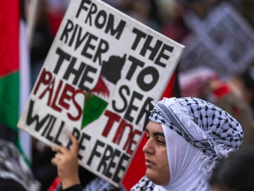 Anti-Israel protest in LA (David McNew / Getty)