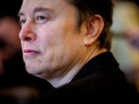 Prominent Tesla Bulls Criticize Elon Musk’s Political Ambitions as Stock Tumbles