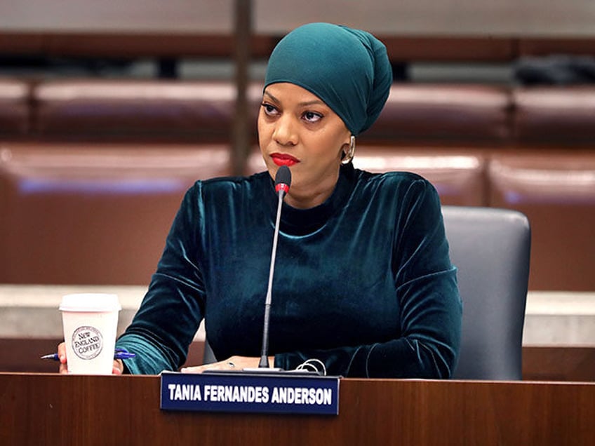 Boston City Councilor Tania Fernandes Anderson at a City Council meeting. (Photo by John T