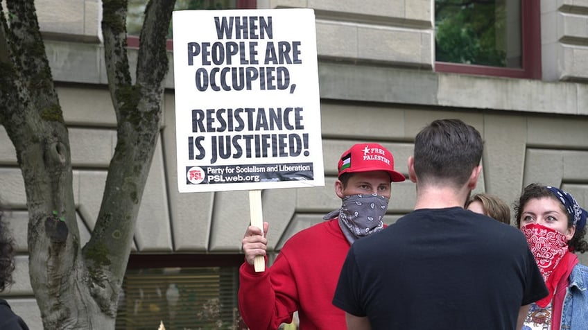 protester dumps box of mice painted in palestinian flag colors into mcdonalds restaurant