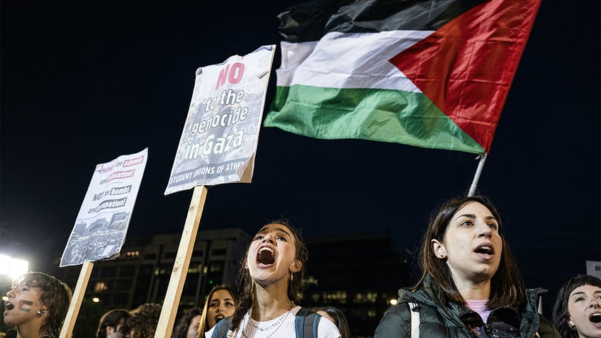 Protesters wave Palestinian flag and signs