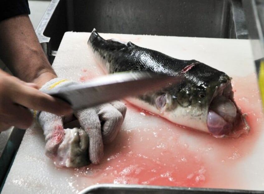 Only specially certified chefs are allowed to serve "fugu" pufferfish, which can be fatal