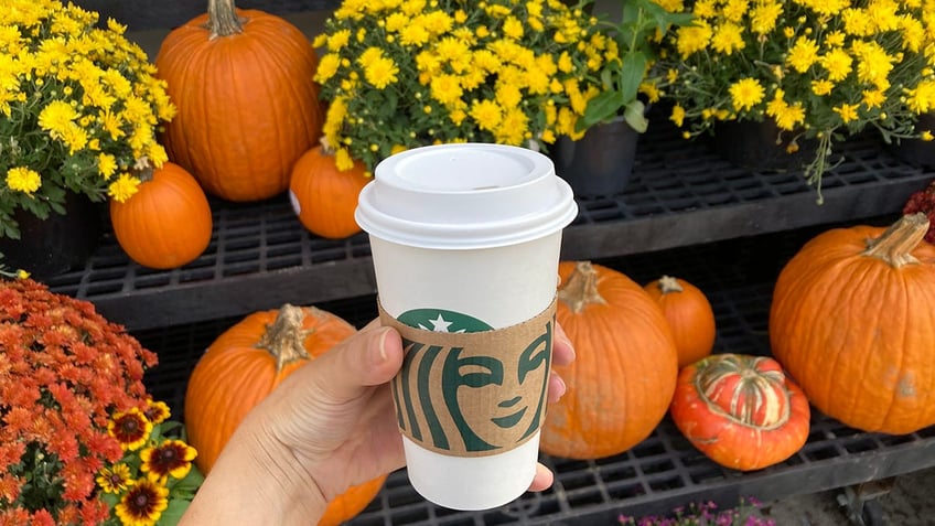 A white hand holding a Starbucks cup in front of pumpkins.