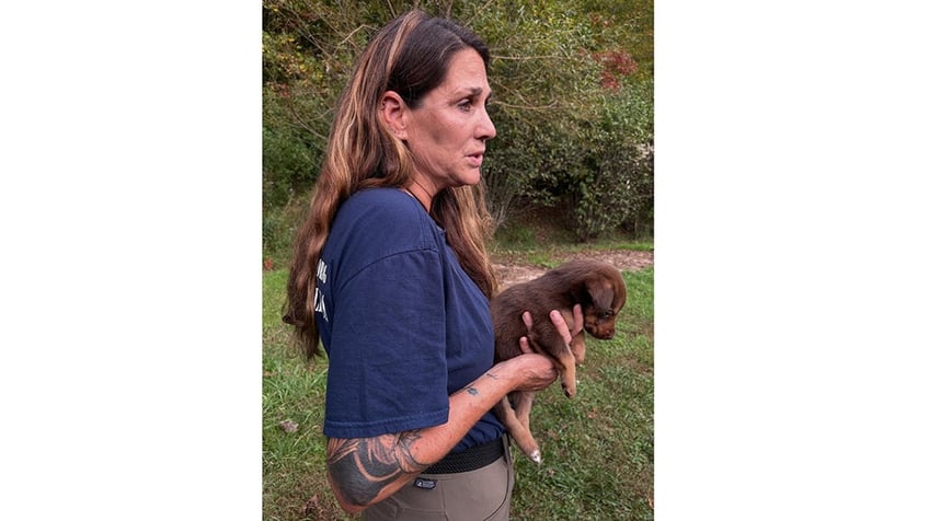 a rescuer holds a puppy