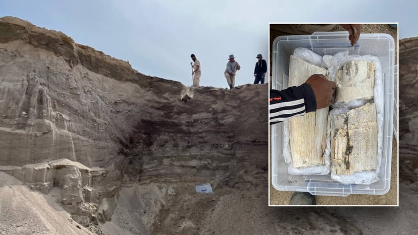 Split image of tooth and archaeologists working