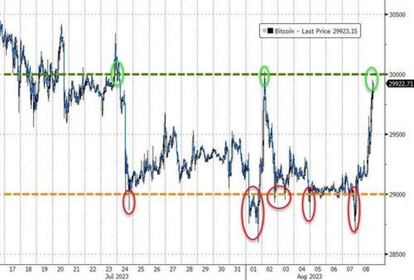 quartet of carnage crushes stocks bonds bitcoin black gold bid