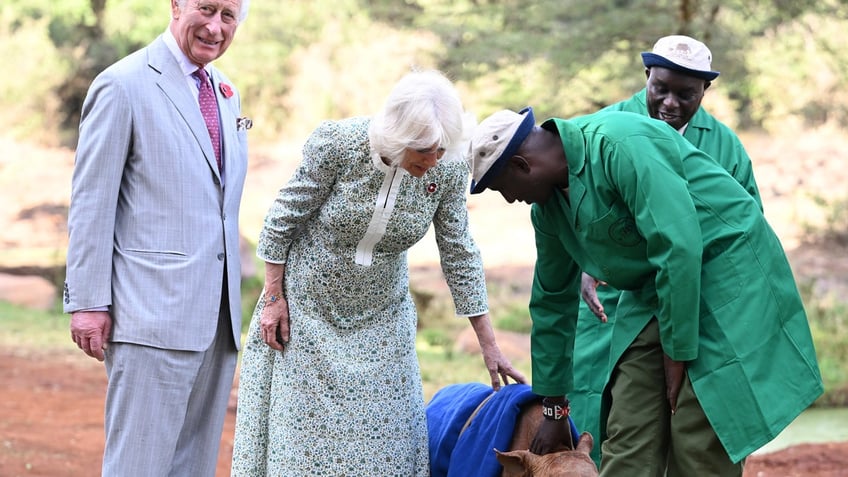 queen camilla gives king charles a love tap during kenya state visit