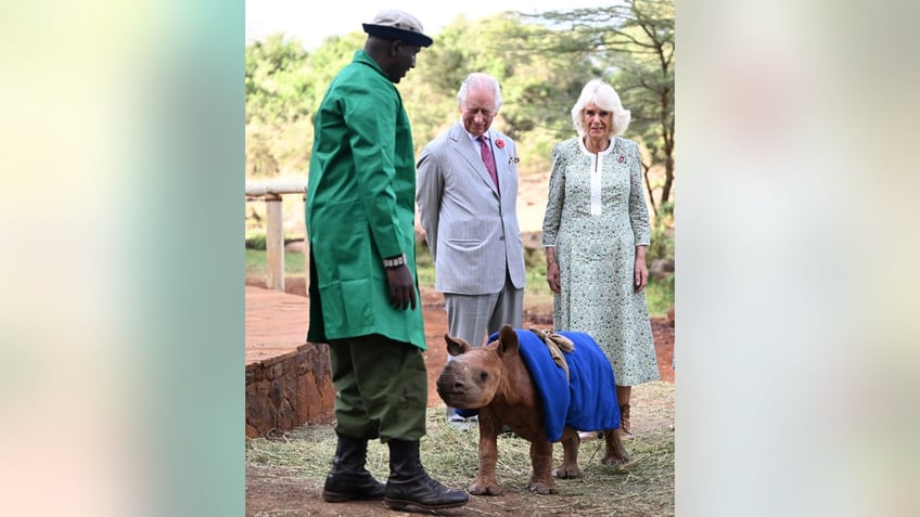 queen camilla gives king charles a love tap during kenya state visit