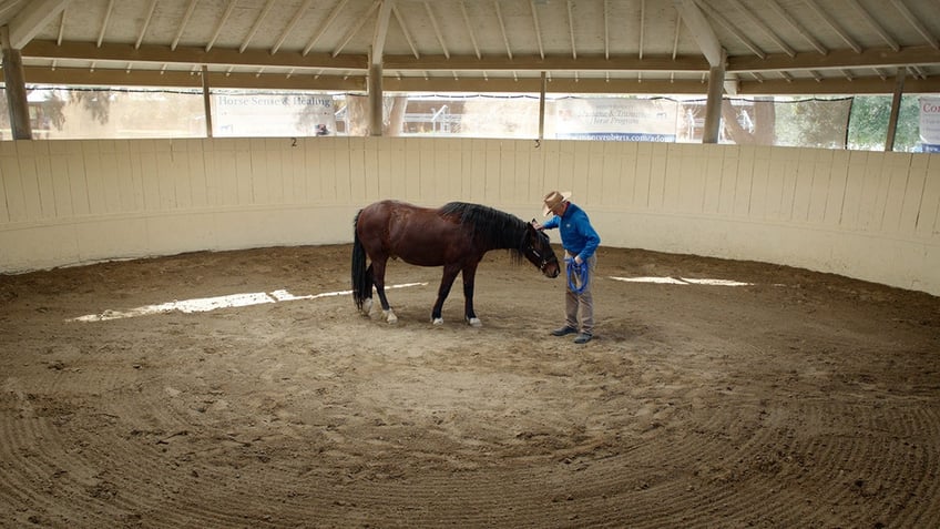 Monty Roberts in a pen petting a brown horse.