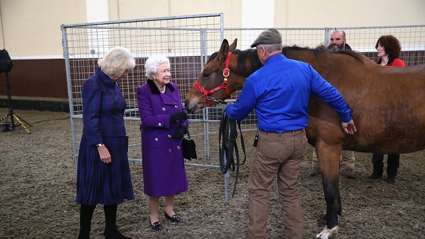 Queen Elizabeth in a purple coat standing in between Monty Roberts and Camilla with a horse.