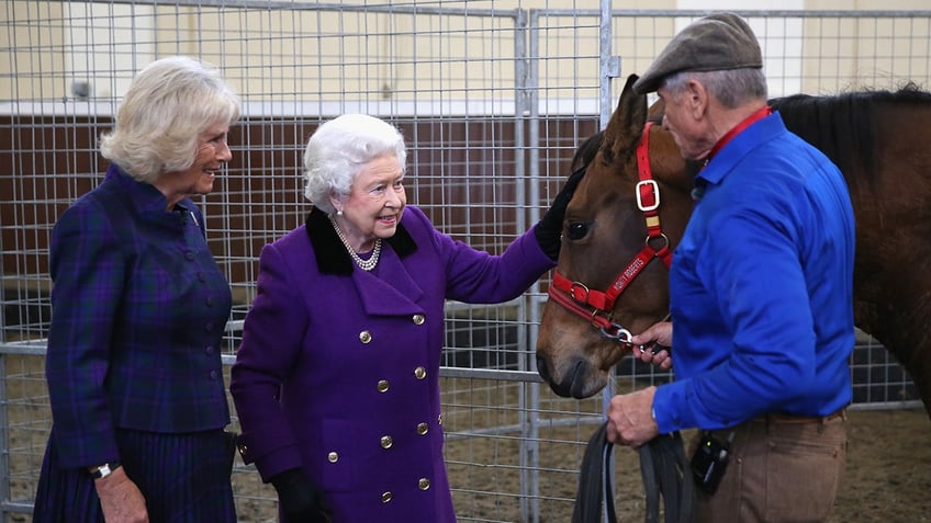 Queen Elizabeth patting on a horse in a purple coat standing between Camilla and Monty Roberts