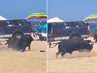 Raging bull attacks woman on Mexican beach as tourists scream in horror: video
