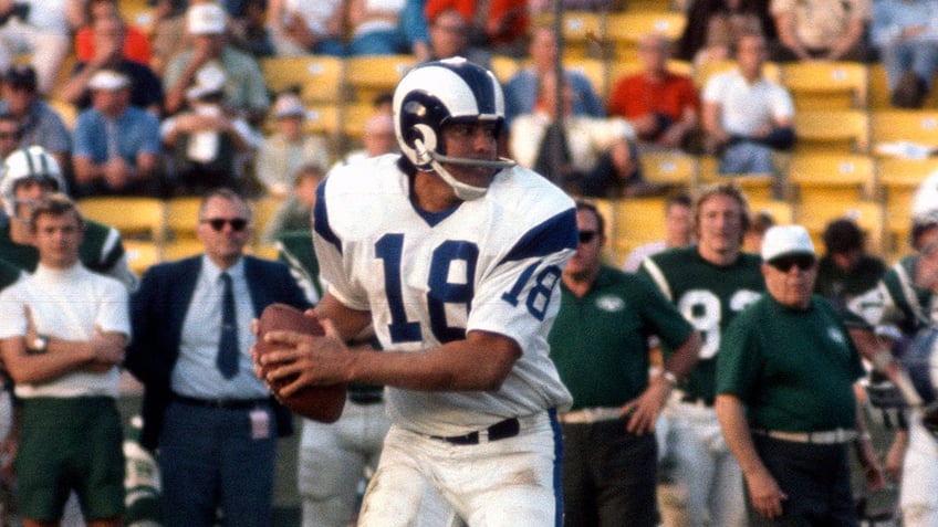 Roman Gabriel against Jets