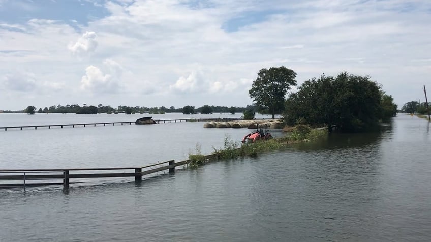 Floodwaters cover pasture with tops of trees, fences sticking out