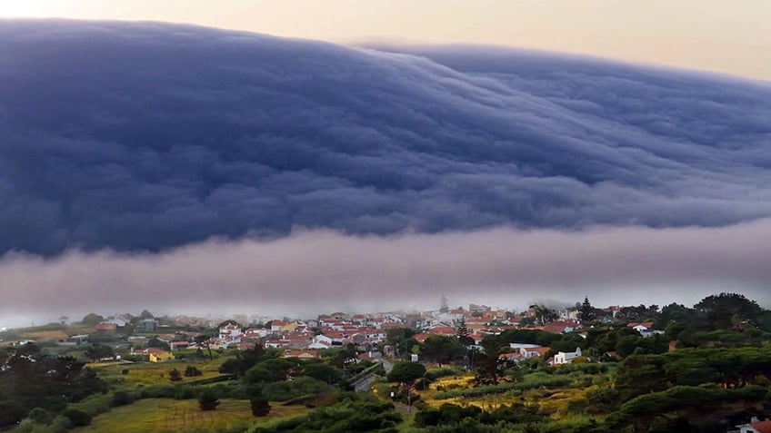 TSUNAMI ROLL CLOUD