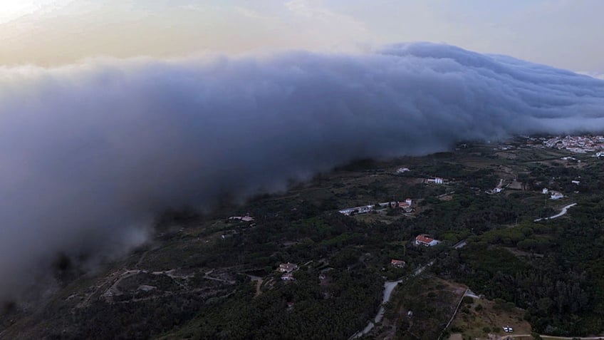 TSUNAMI ROLL CLOUD