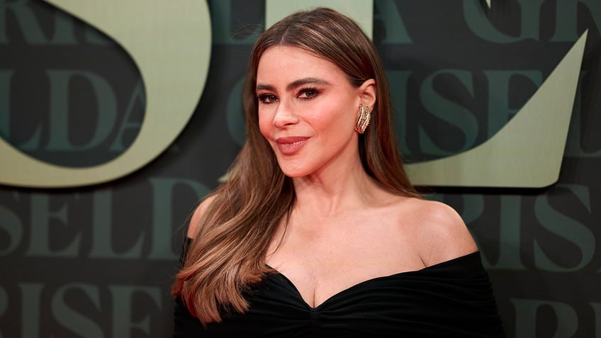 Sofia Vergara in a black strapless dress smirks for the camera on the carpet