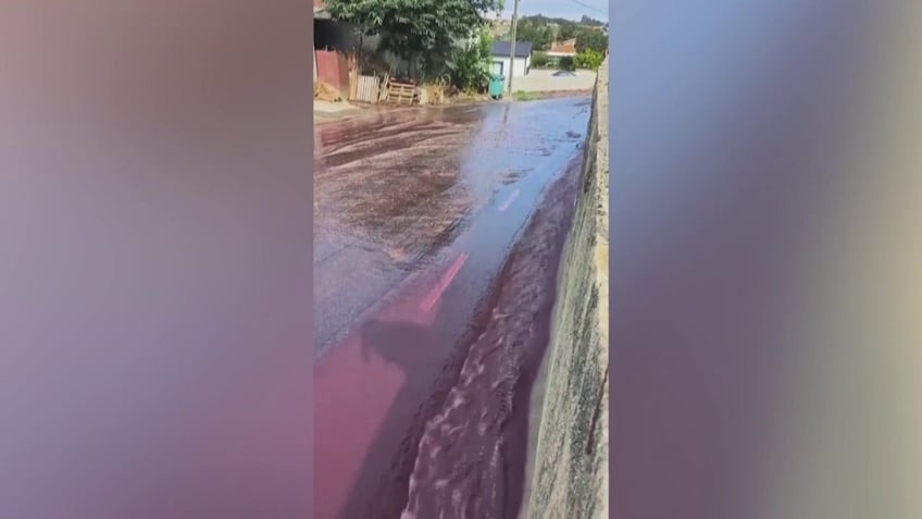 red wine flows through towns streets after distillery tank accident releases more than half a million gallons