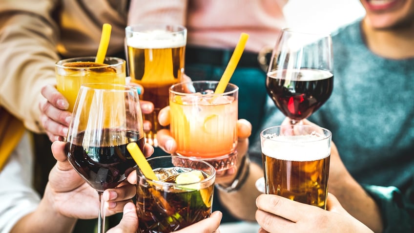 A group of friends toast with various beers, wines and cocktails.