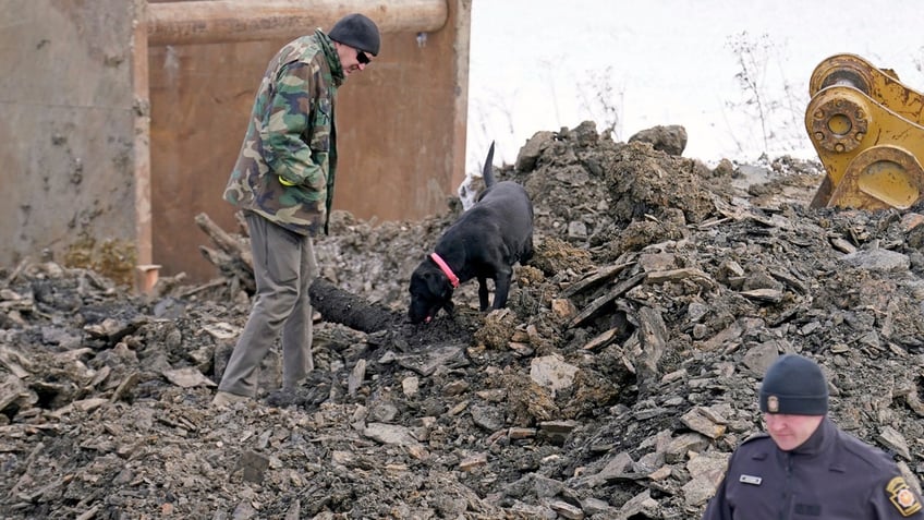 A rescuer and a rescue dog searches though a pile of debris.