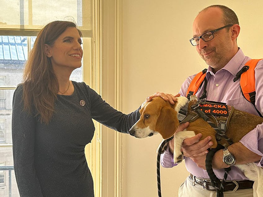 Today, we met Uno, the first beagle saved from Fauci's NIH experiments on puppies. Thanks