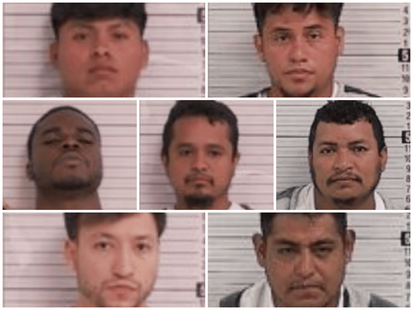 report 7 illegal aliens among 19 arrested for child sex crimes in florida county