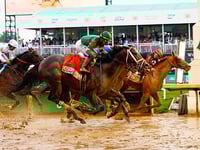 Report: All Horses in 151st Kentucky Derby Were Descended from Legendary Secretariat