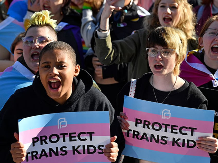 Protesters of Kentucky Senate Bill SB150, known as the Transgender Health Bill, cheer on s