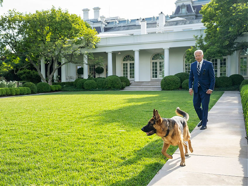 President Joe Biden walks with his dog Commander, Tuesday, June 21, 2022, in the Rose Garden of the White House. (Official White House Photo by Adam Schultz)