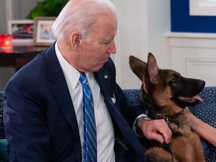 US President Joe Biden and US First Lady Jill Biden, look at their new dog Commander, afte