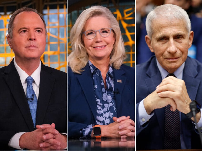 Adam Schiff, Liz Cheney, Anthony Fauci. William B. Plowman/NBC via Getty Images, Chip Som