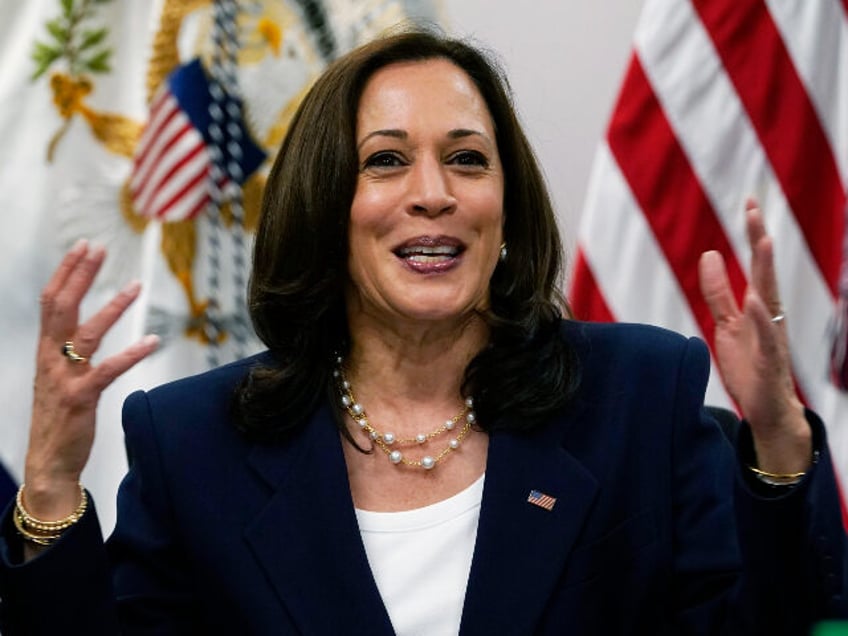 Vice President Kamala Harris in El Paso for border meeting. (AP Photo/Jacquelyn Martin)