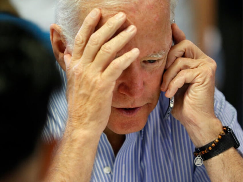 report hunter biden put joe biden on business calls dozens of times