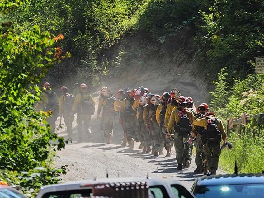 A line of wildland firefighters arrive at the scene the day after a shooter ambushed and k