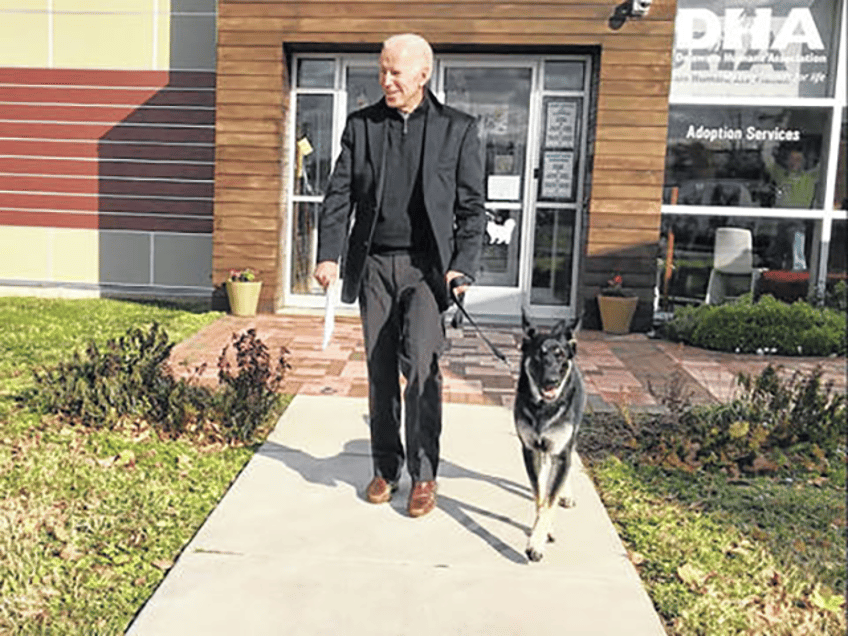 pet major joe biden