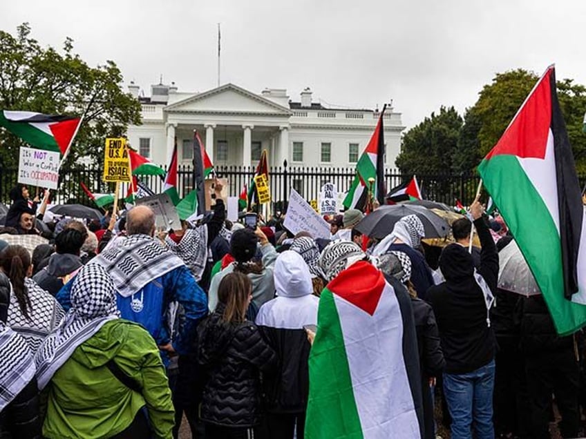 Demonstrators hold up placards and Palestinian flags as they take part in a rally in solid