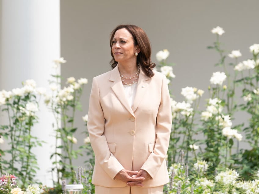 Vice President Kamala Harris attends an event celebrating the 31st Anniversary of the Amer