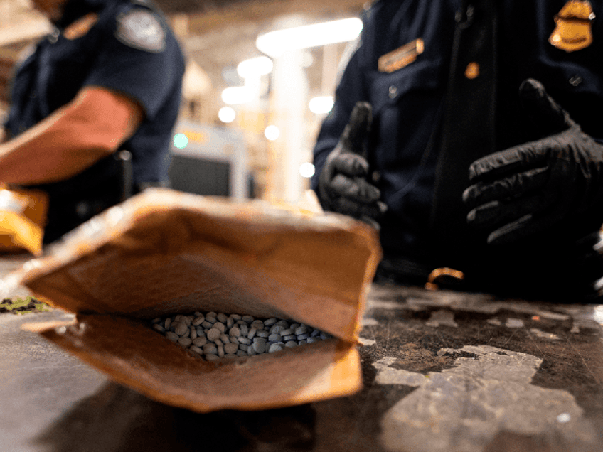 An officer from the US Customs and Border Protection, Trade and Cargo Division finds Oxyco