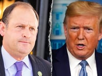 Republican introduces amendment to end birthright citizenship ‘once and for all’