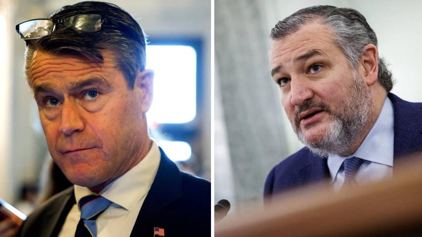 Sens. Todd Young and Ted Cruz pen letter warning museums to adhere to pro-life protesters' free speech rights. (Photo by Anna Moneymaker/Getty Images)(Photo by Samuel Corum/Getty Images)