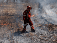 Republicans in Congress Ask Canada for Their Forest Management Plan as Wildfires Threaten Midwest Summer